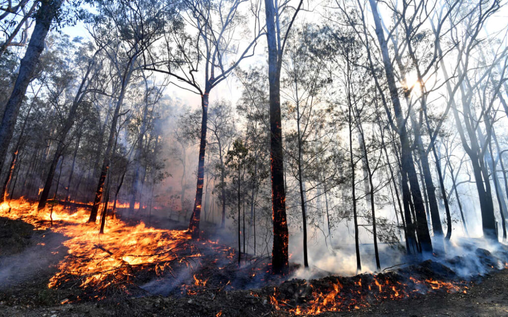Australia Bushfires Set to Burn Out of Control for Weeks, Authorities Warn
