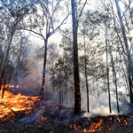 Australia Bushfires Set to Burn Out of Control for Weeks, Authorities Warn